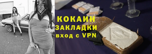 дживик Горнозаводск