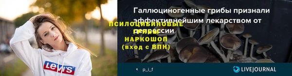 дживик Горнозаводск