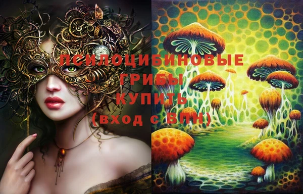 метадон Горняк