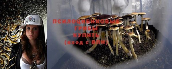 дживик Горнозаводск