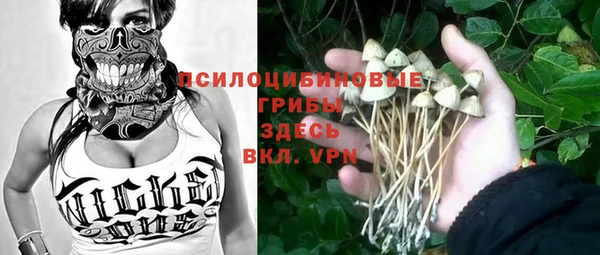 spice Горно-Алтайск